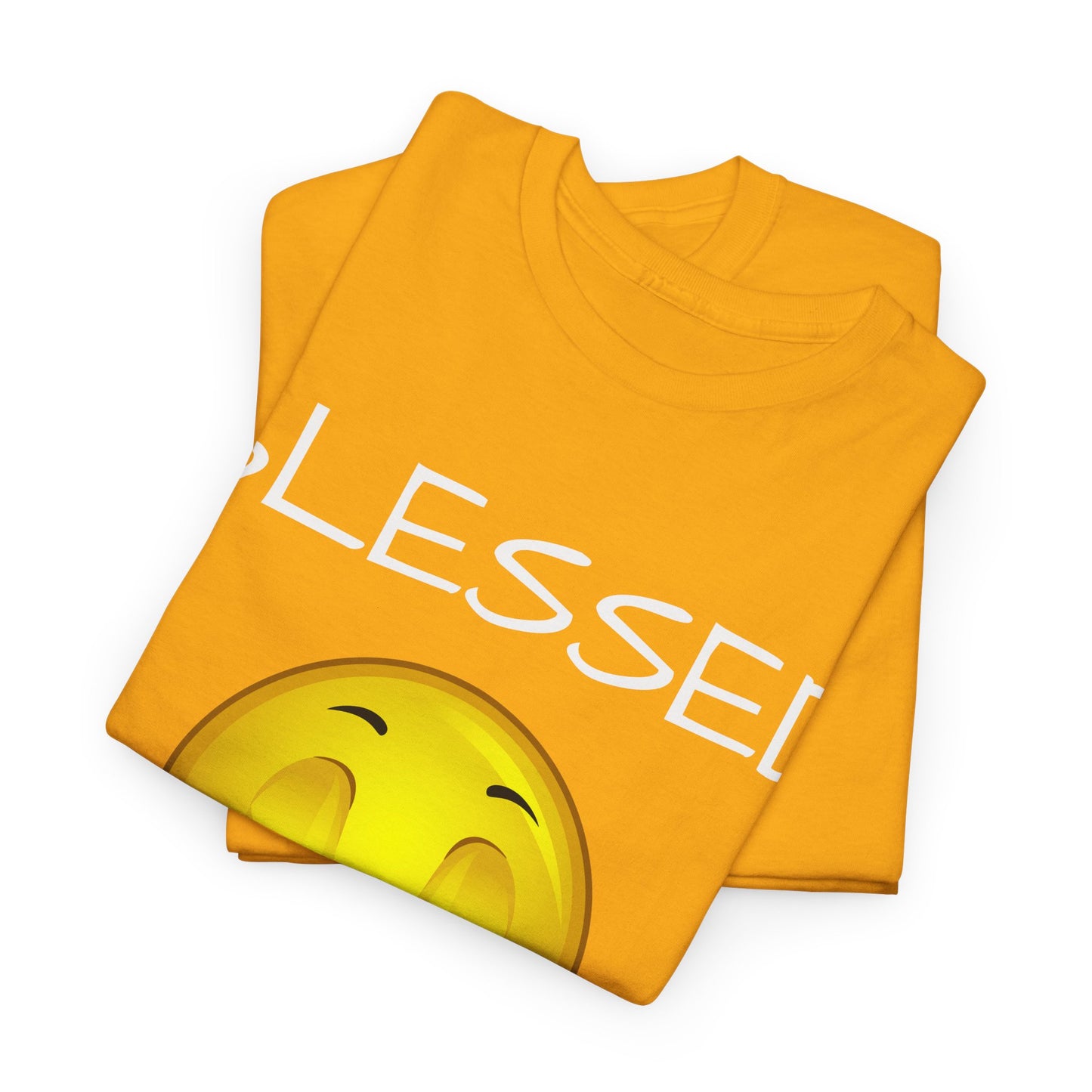 'Blessed Rich & Lit' T-Shirt